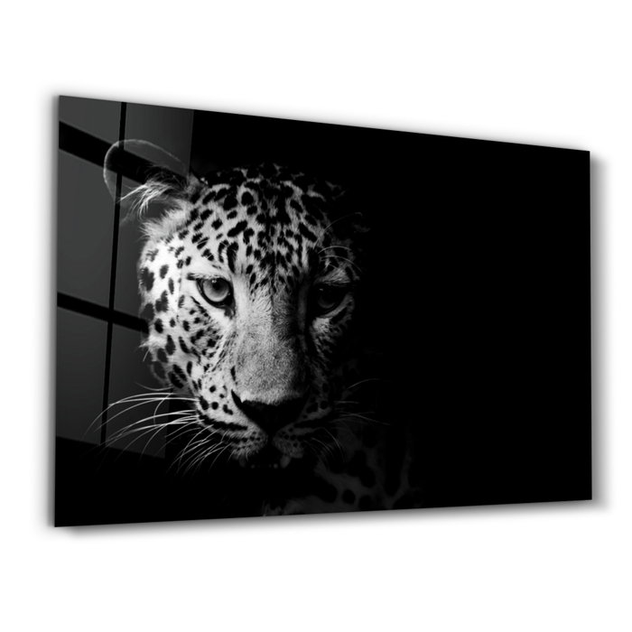 Wallity Pintura Decorativa de Vidrio Templado Multicolor 46 x 72 cm Wallity Pintura Decorativa de Vidrio Templado Multicolor 46 x 72 cm